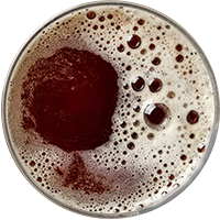 https://wildtigerenergy.com/wp-content/uploads/2017/05/beer_transparent_02.png