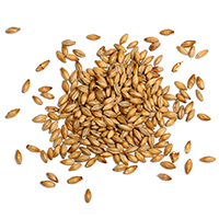 https://wildtigerenergy.com/wp-content/uploads/2017/05/ingredients_transparent_03.png